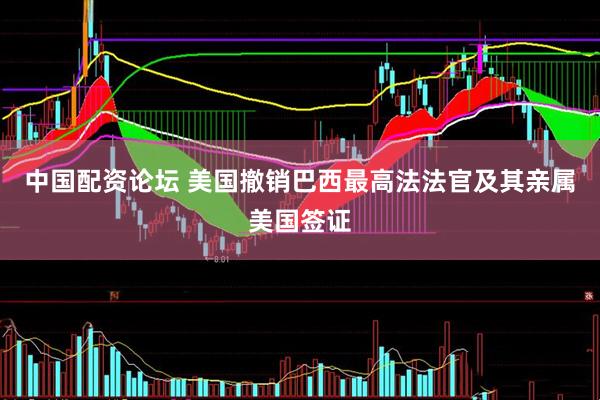 中国配资论坛 美国撤销巴西最高法法官及其亲属美国签证